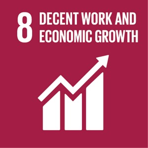 Sustainable Development Goal 8 Sustainable Development Goal 8