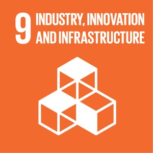 Sustainable Development Goal 9 Sustainable Development Goal 9