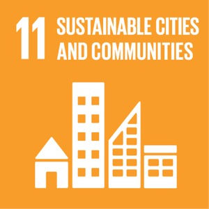 Sustainable Development Goal 11 Sustainable Development Goal 11