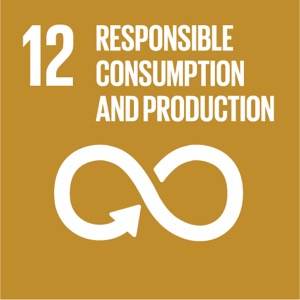 Sustainable Development Goal 12 Sustainable Development Goal 12