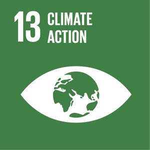 Sustainable Development Goal 13 Sustainable Development Goal 13