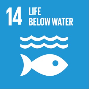 Sustainable Development Goal 14 Sustainable Development Goal 14