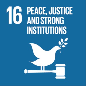 Sustainable Development Goal 16 Sustainable Development Goal 16