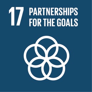 Sustainable Development Goal 17 Sustainable Development Goal 17